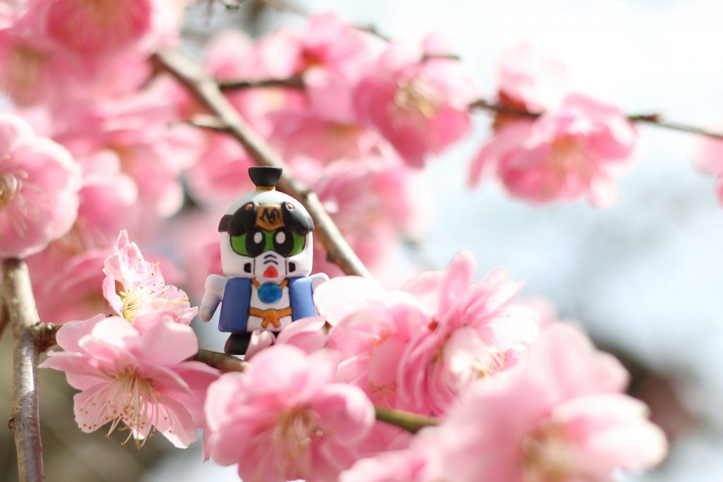 荒「きれーーーい！！」