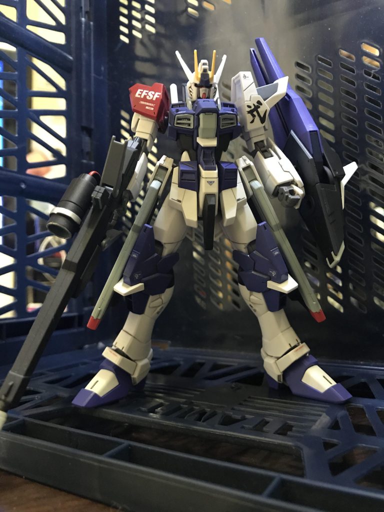 アストライア隊で2番目のパイロットなんで弐✨