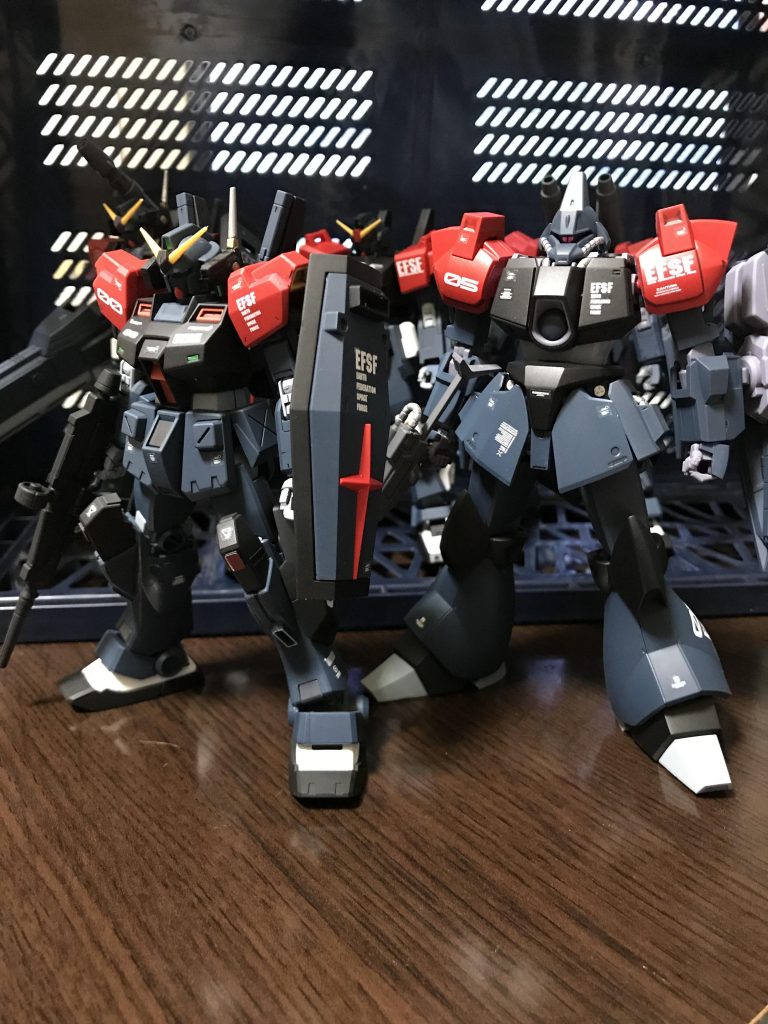 地球連邦軍コンペイ島所属
特殊戦技教導隊
アグレッサー部隊