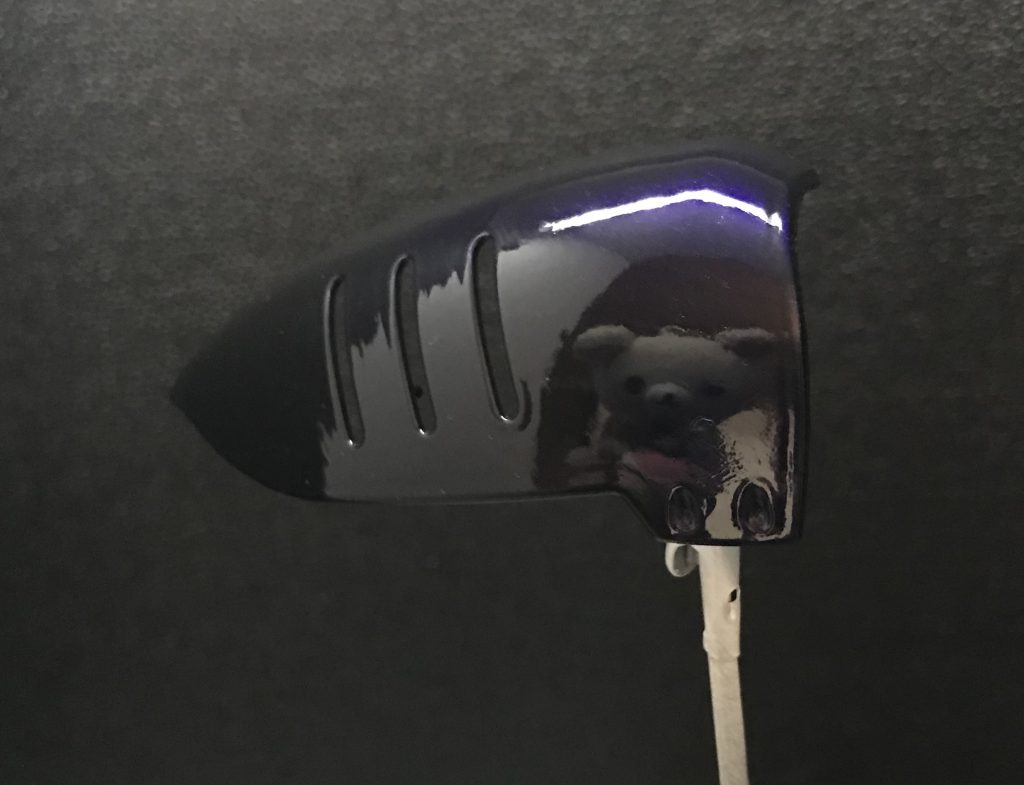 誰かが覗いてます(*^o^*)