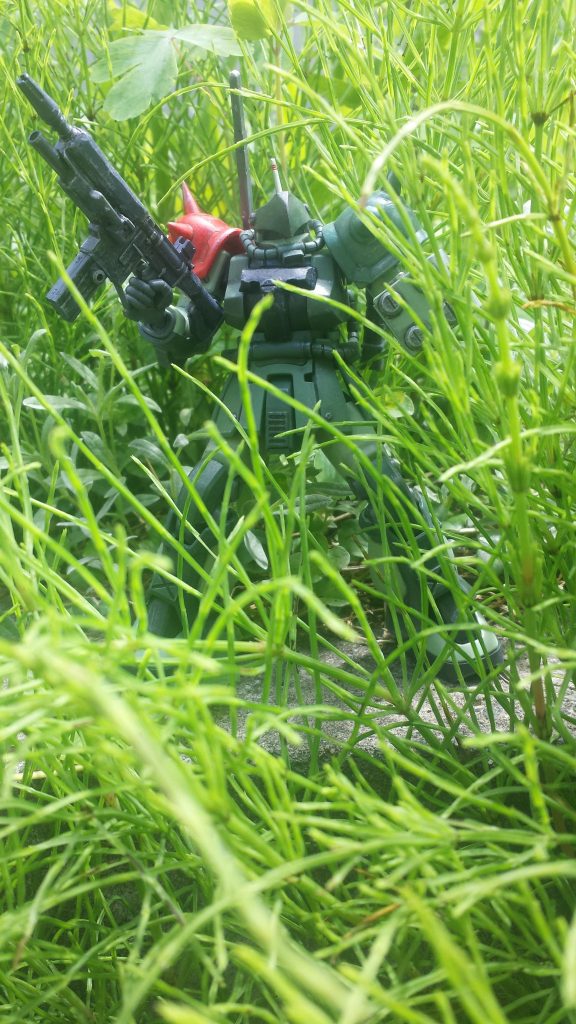 密林ってイメージで(￣▽￣;)