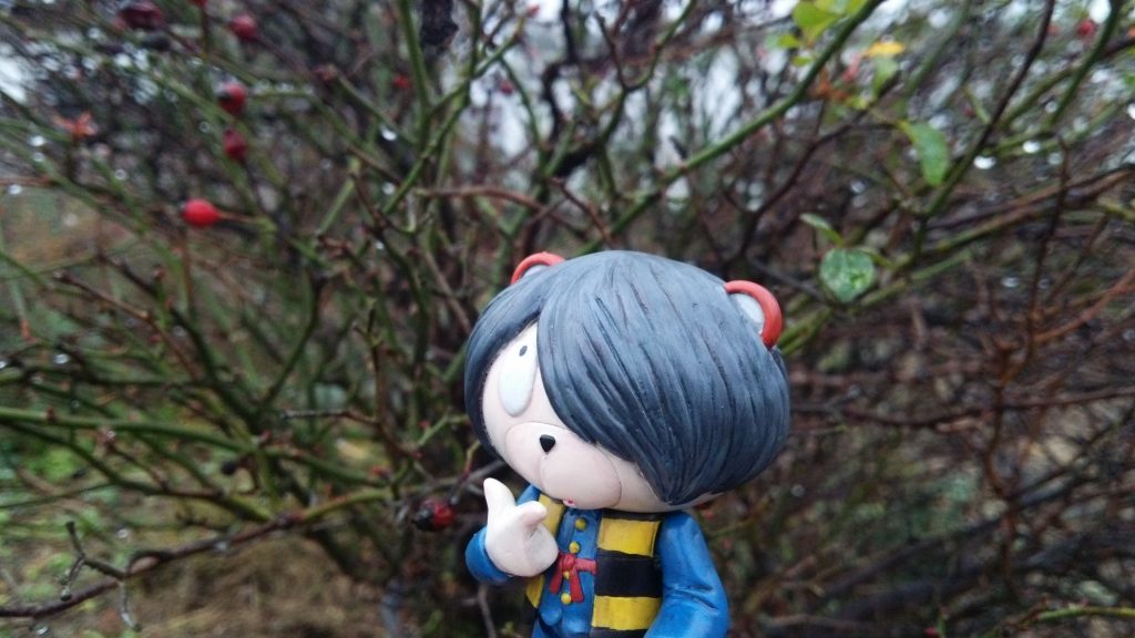 さりげないクマ耳でプチッガイアピール(笑)