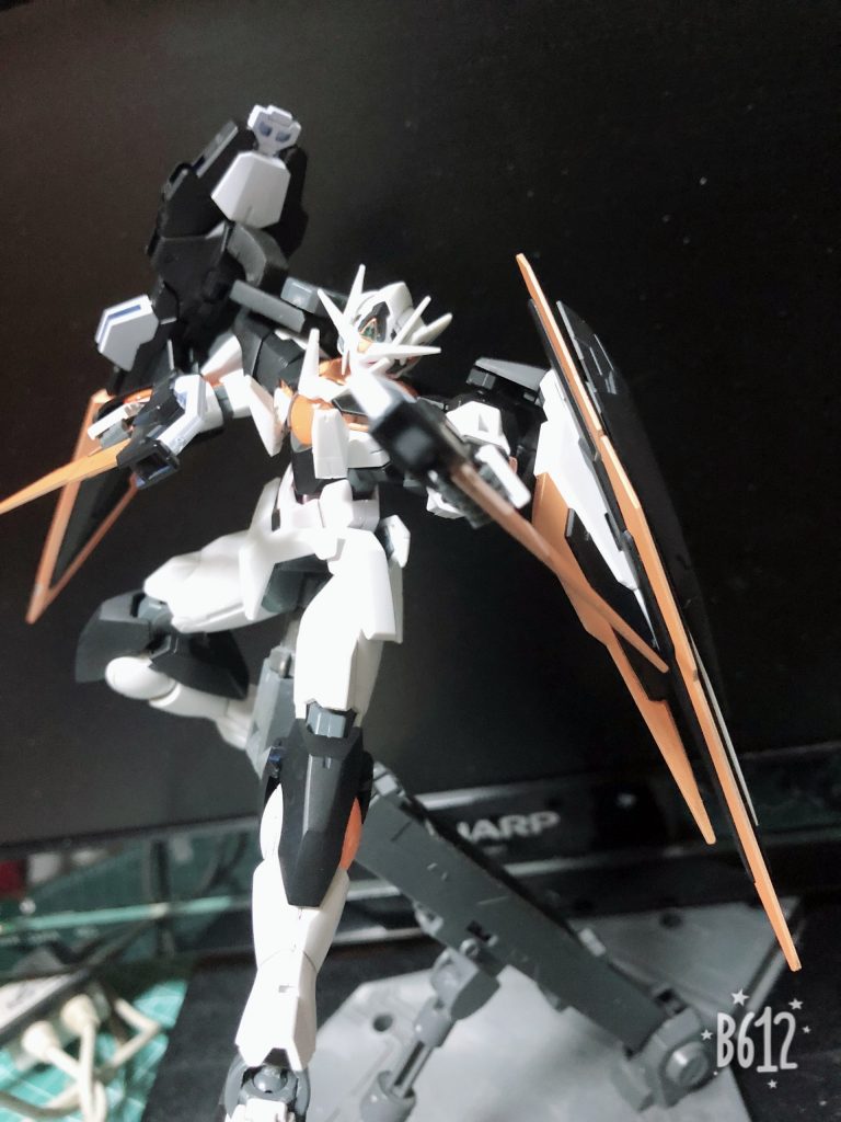 まずは2丁拳銃( ˙꒳​˙  )