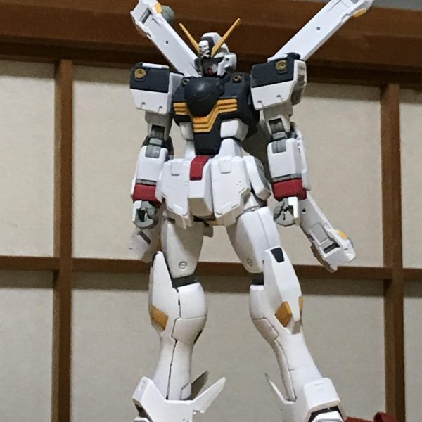 HGUCクロスボーンガンダム