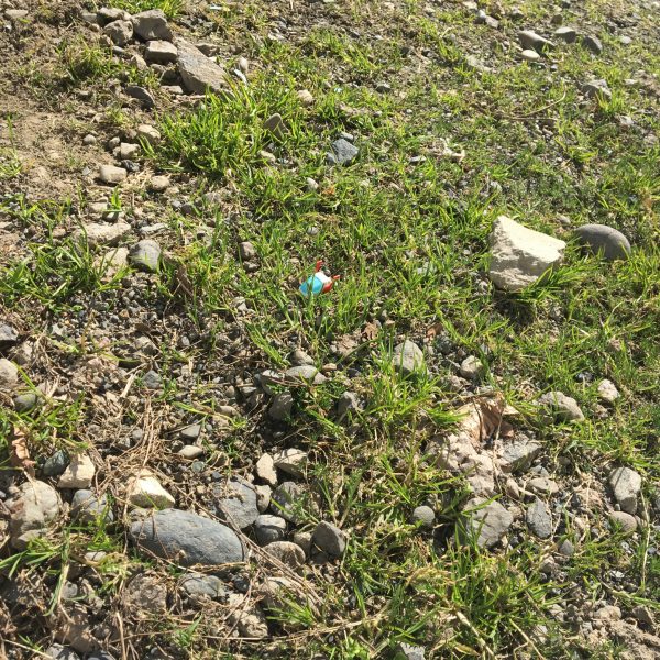 ガンタンクの観察