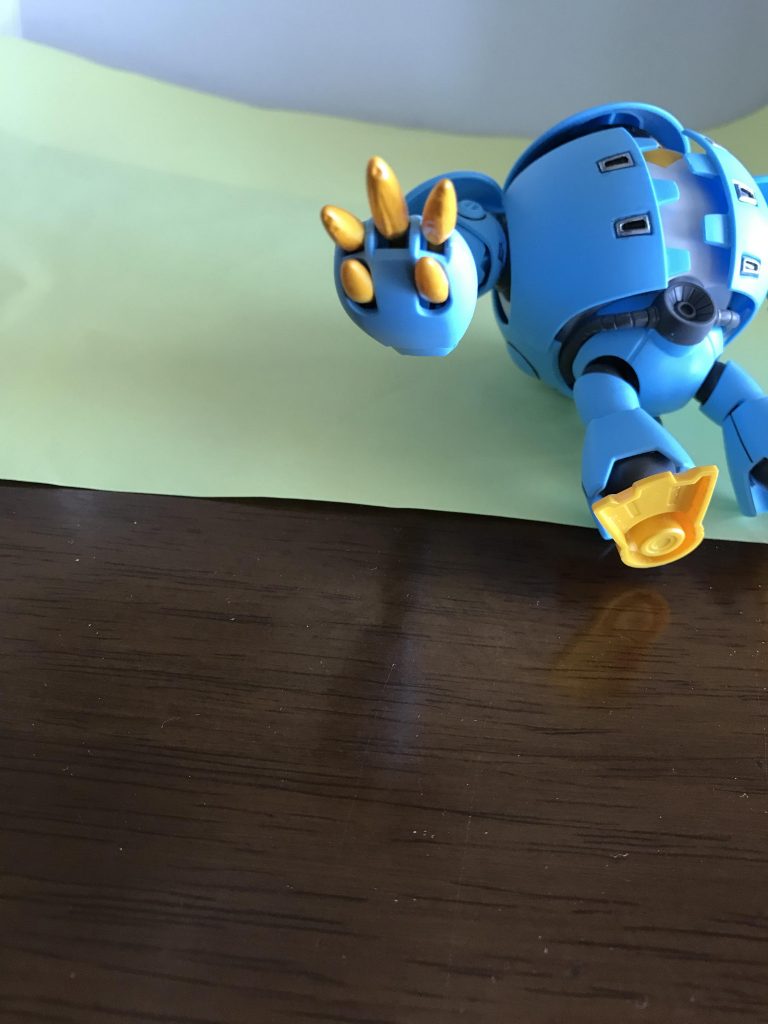 爪のアップ。見えなくなるので足裏の肉抜き処理はしませんでした。