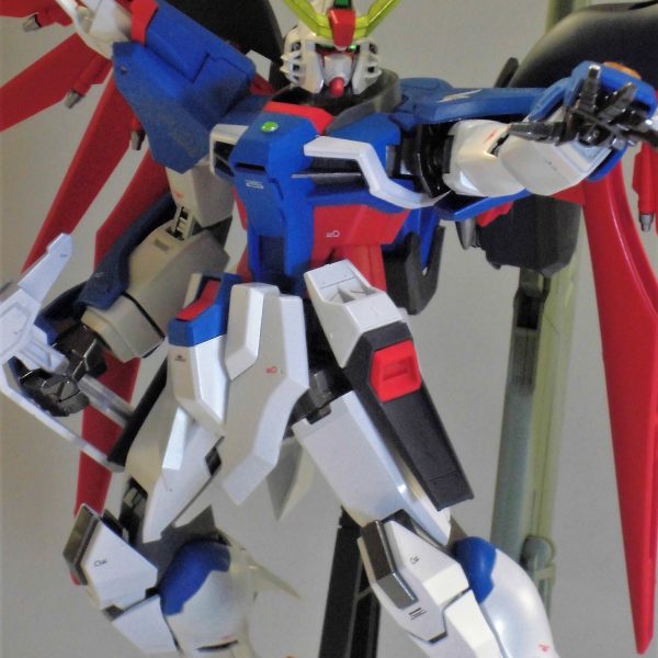 パルマフィオキーナ！