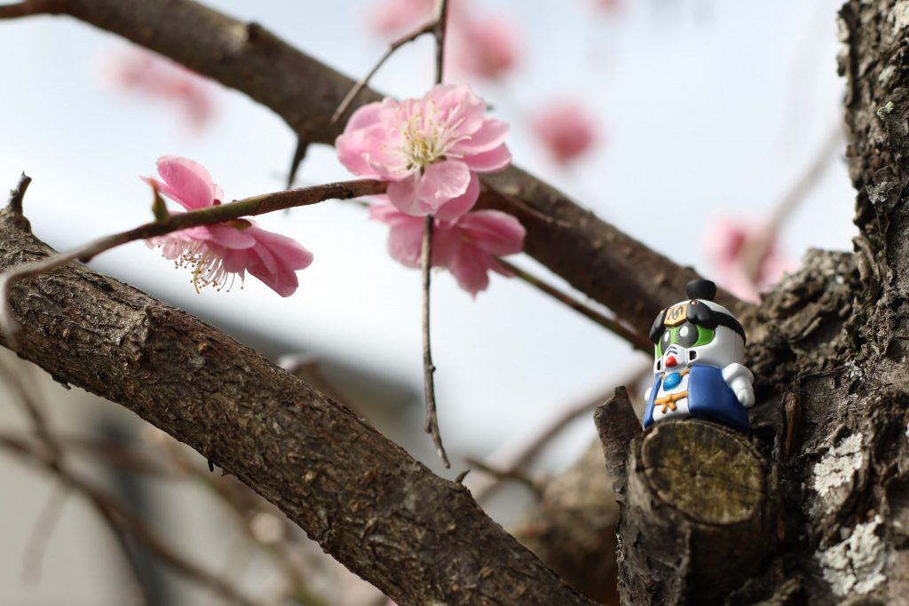 荒「すごい！！」