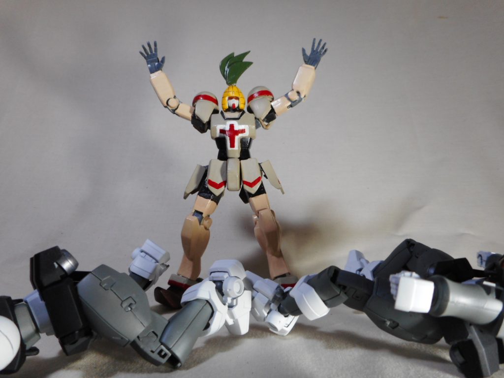 わーい＼(^o^)／