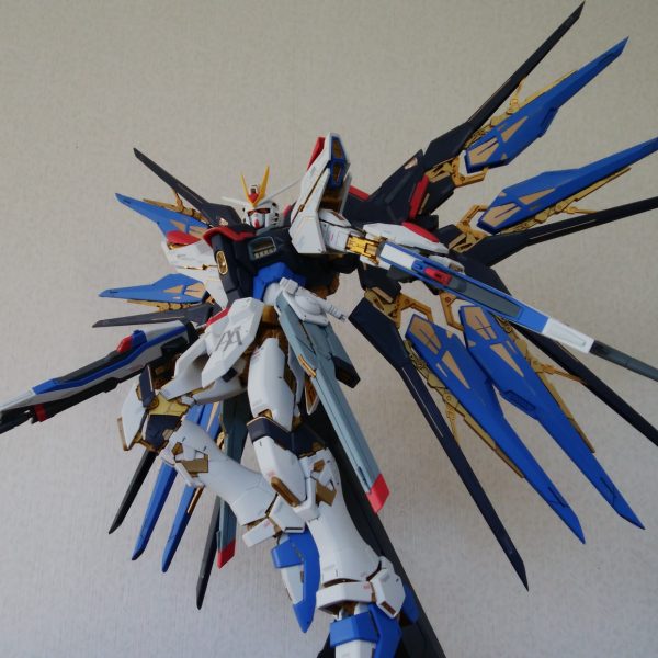 ＰＧストライクフリーダム