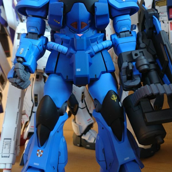 ランバ・ラル専用グフカスタム