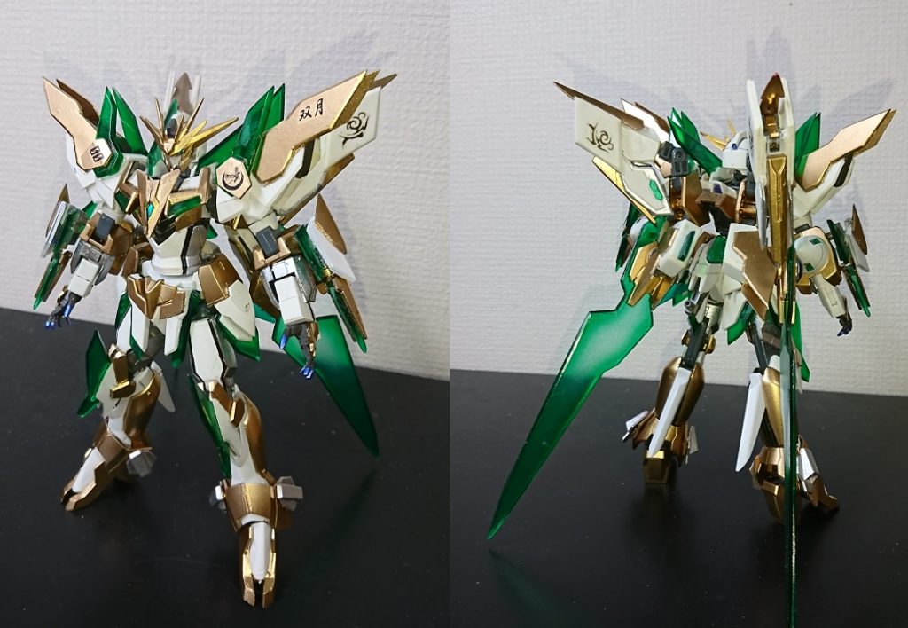 正面と後ろから 羽はたためます