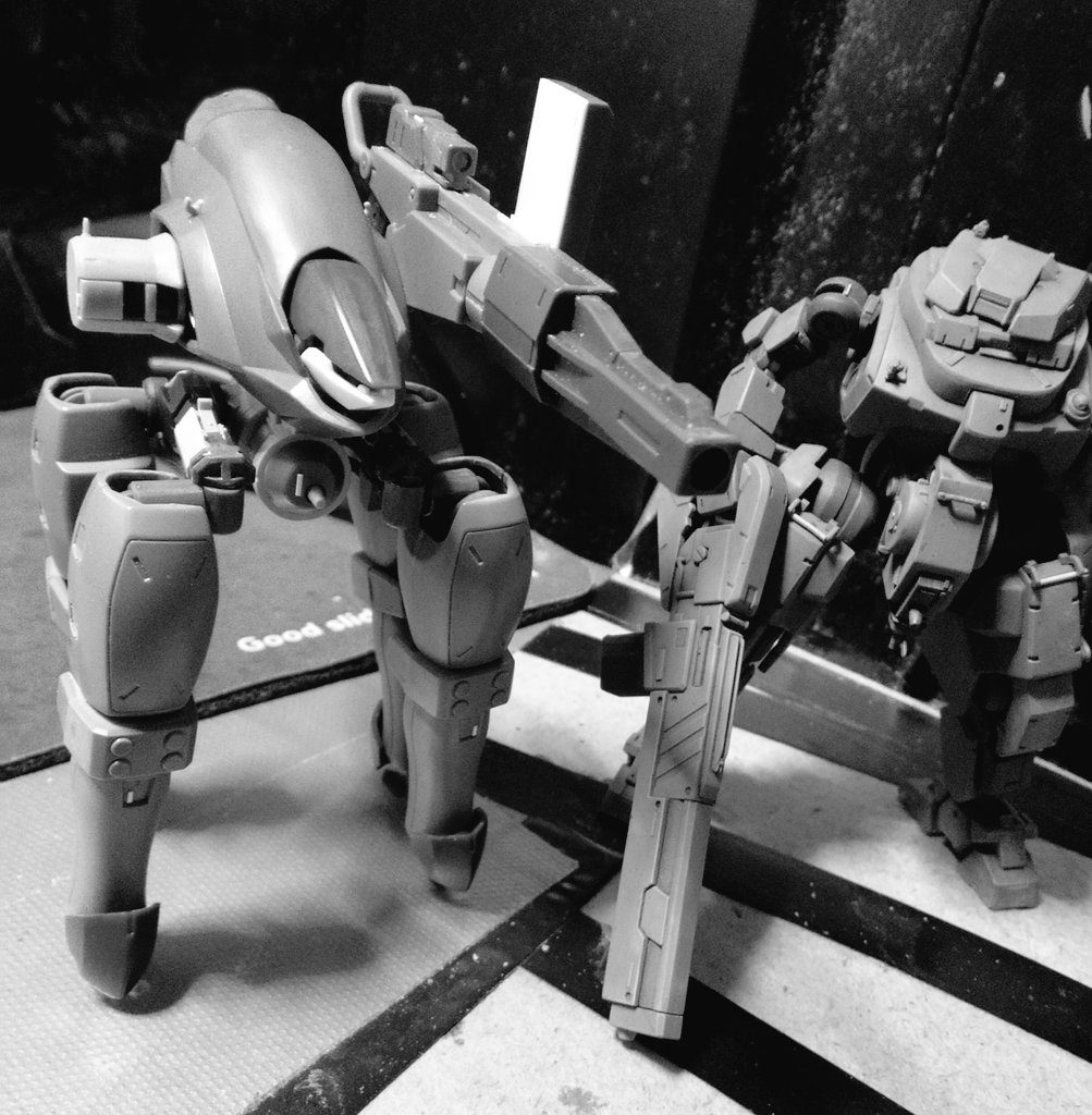 大体これぐらいのサイズ感です。