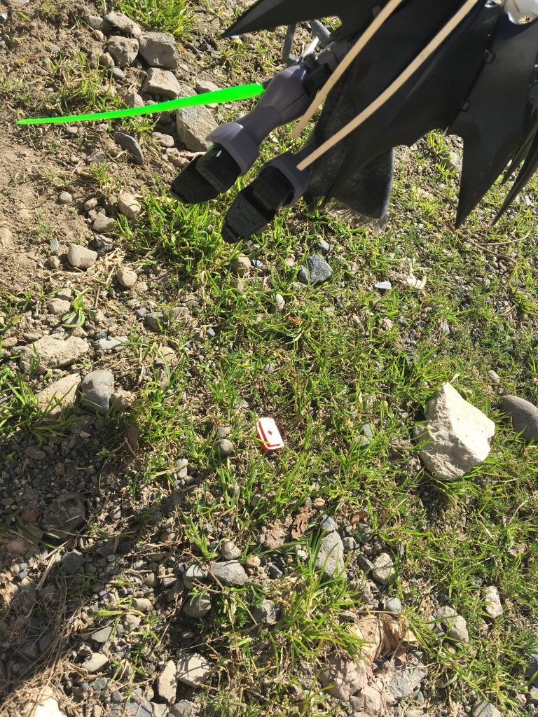 狩られてしまいました。
自然の摂理とは、悲しくも厳しいものですね。
おや?
あれは……?