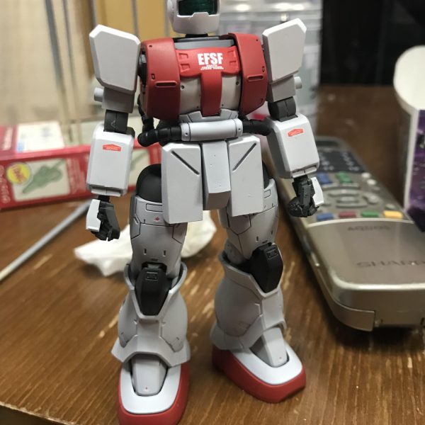 なんちゃってザニー