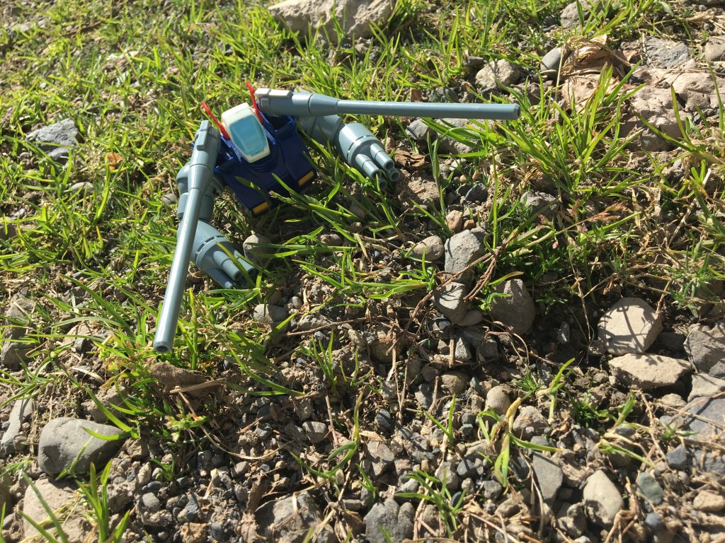 栄養があるため、根から再生する場合はかなり早いスピードで復活します。
噂では、通常の3倍で成長するとか。
根が赤いから早い、という説が有力です。