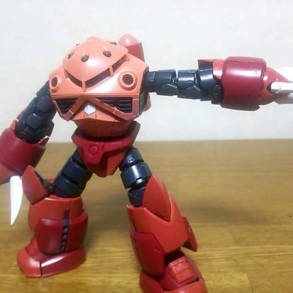 念願のＲＧズコック