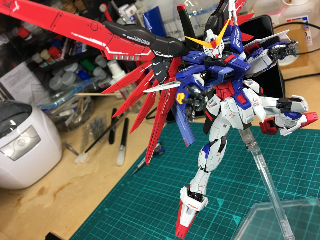 RG デスティニーガンダム 全塗装–7枚目/制作者:nimurode