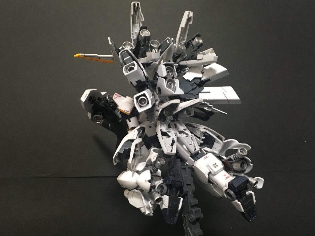 バックショットがお気に入りです