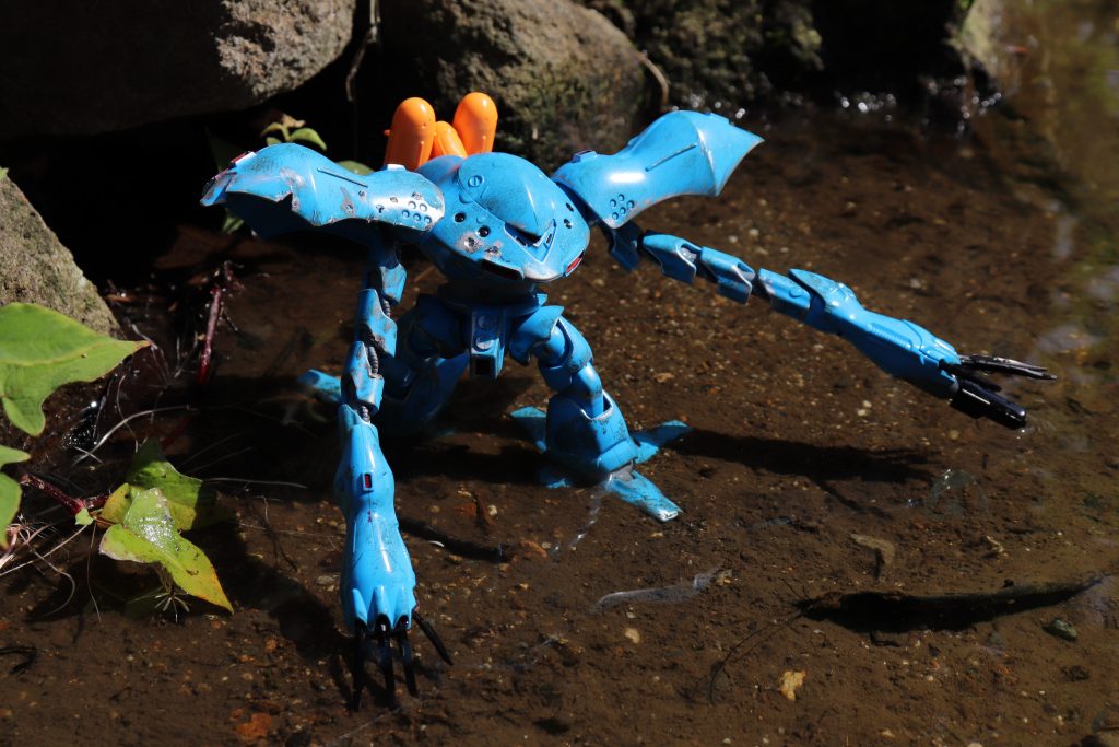 水辺にて(´ω｀)