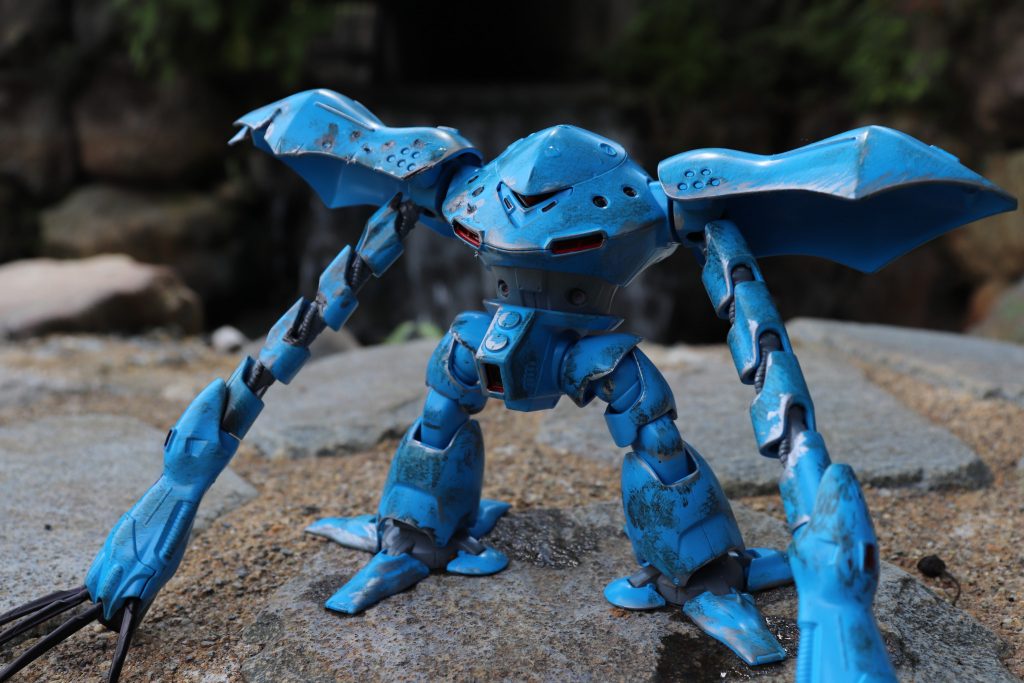 正面から(´ω｀)