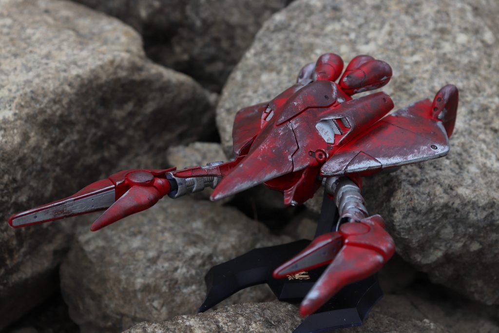 アメリカザリガニ(´ω｀)