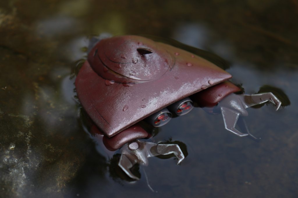 後ろから(´ω｀)