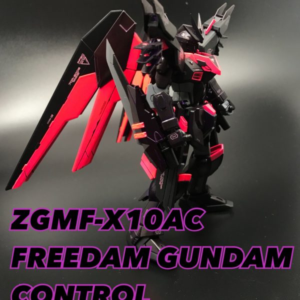 FREEDOM GUNDAM CONTROL