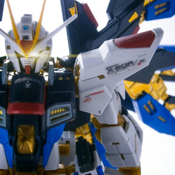 RG ストライクフリーダム