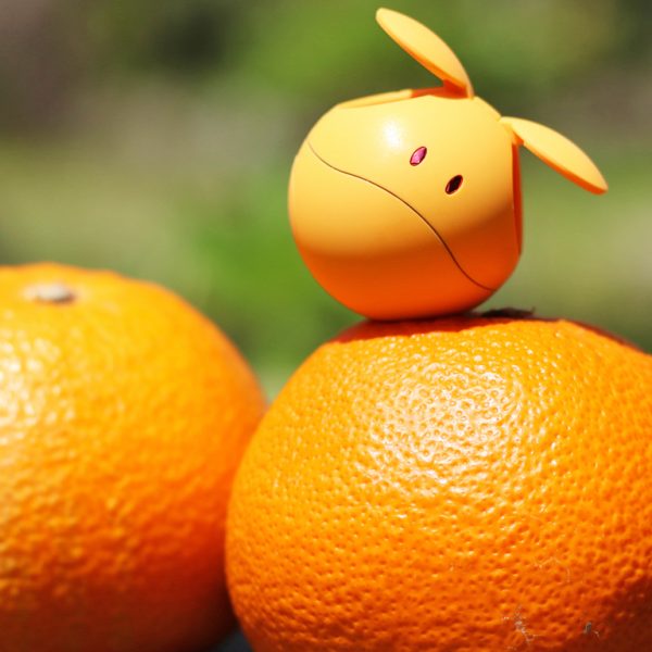 ハロプラオレンジ with はっさく