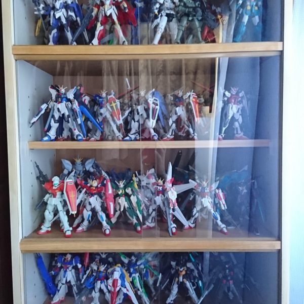 うちの家族たち