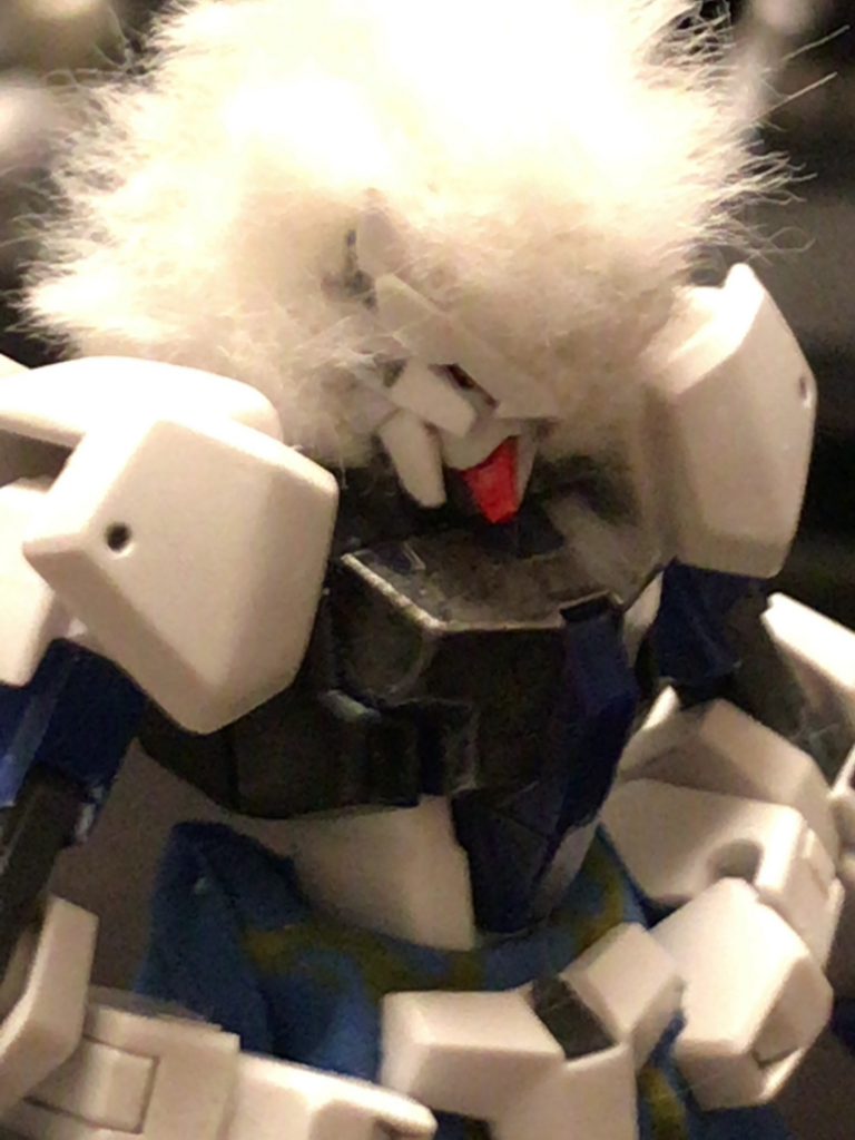 顔はこんな感じ
分かりずらいですが猫？っぽい耳があります……

うん分かりずらい