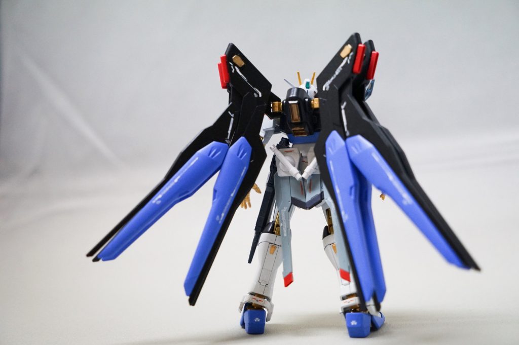 バックショット