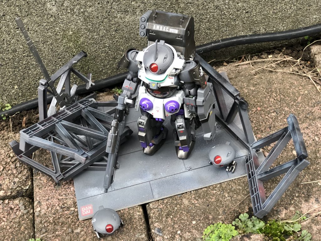 庭で撮影しました