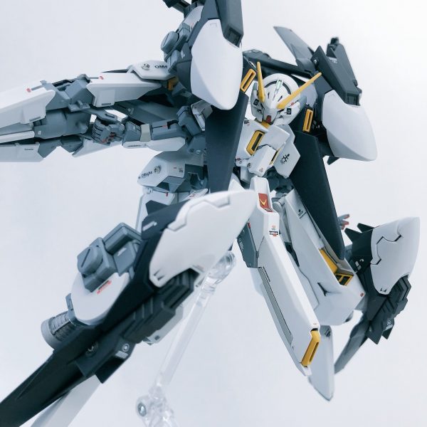 TR-6【ウーンドウォート・ラー】