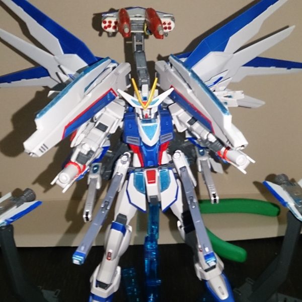 アストライアフリーダムガンダムFW(ﾌﾙｳｪﾎﾟﾝ)