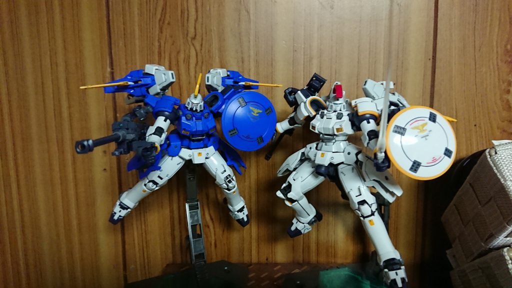 せっかくなので2機で！