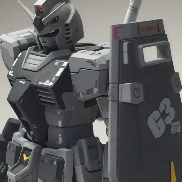 RG G3