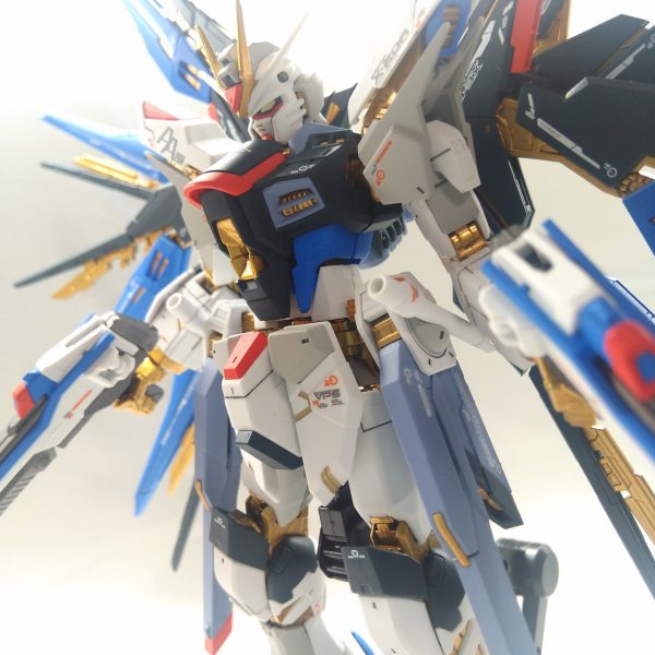 RG ストライクフリーダムガンダム