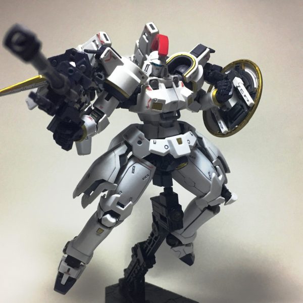 RG トールギス EW