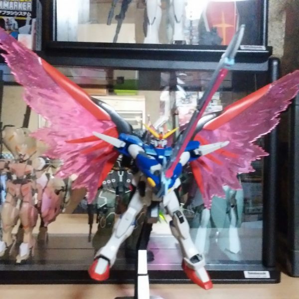 デスティニー出来ましたので