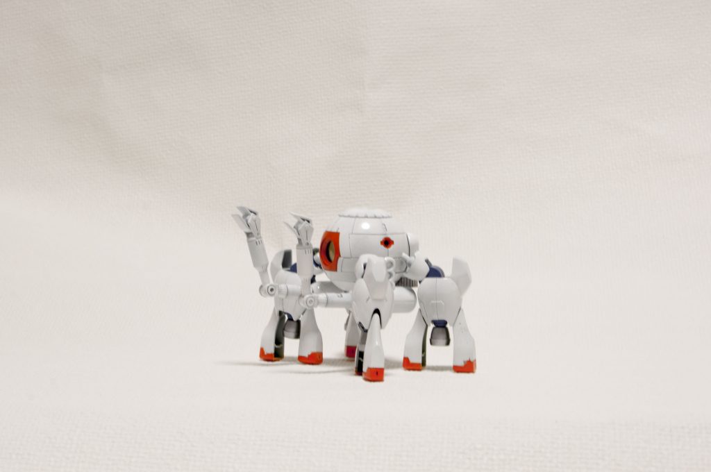 丸坊主にするとこんな感じです。