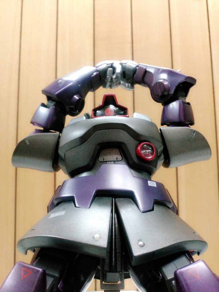 言わずと知れた、あの構えです。
このポーズを撮るためにジェットストリームアタックシーンの動画観たりしてました(^^;