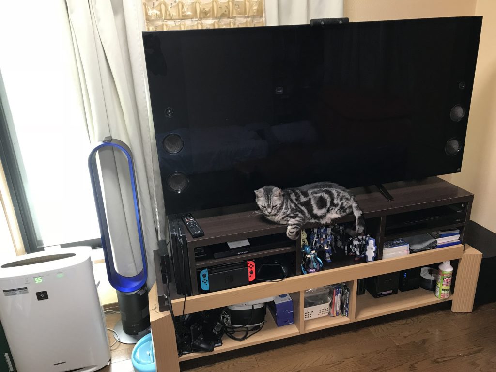 ねこはやる気がありません