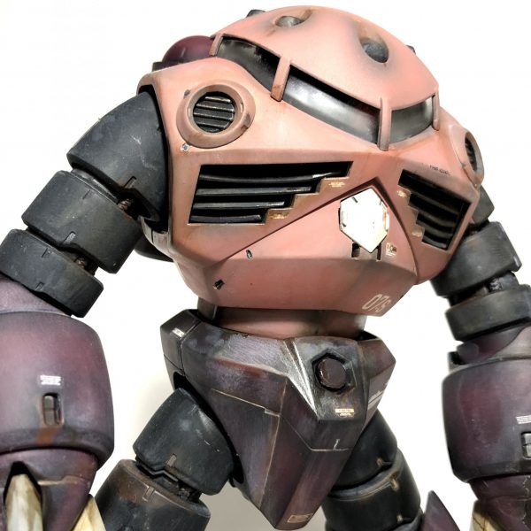 MG シャア専用ズゴック　帰還塗装ｖｅｒ