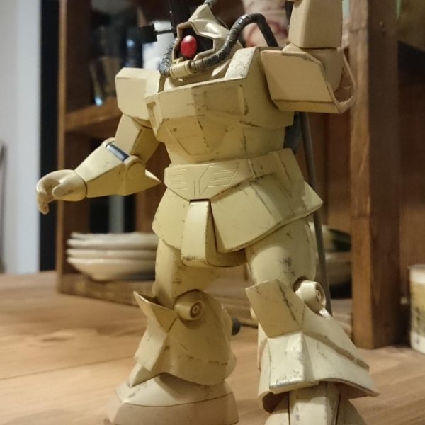 ドムトロピカルテストタイプ