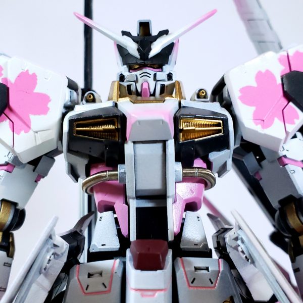 天帝桜｢舞い散る桜｣