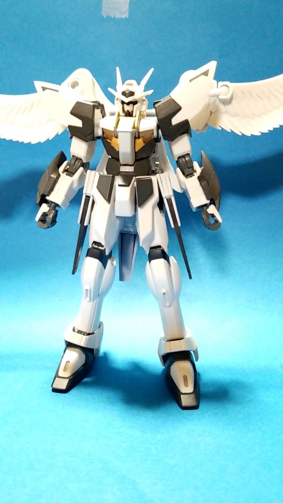 正面か、翼が大きく撮影が大変でした(笑)