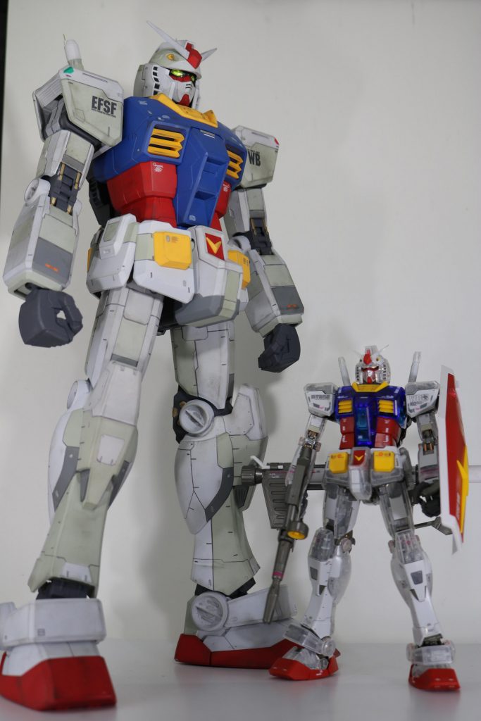 大きさ比較( ˙꒳˙  )