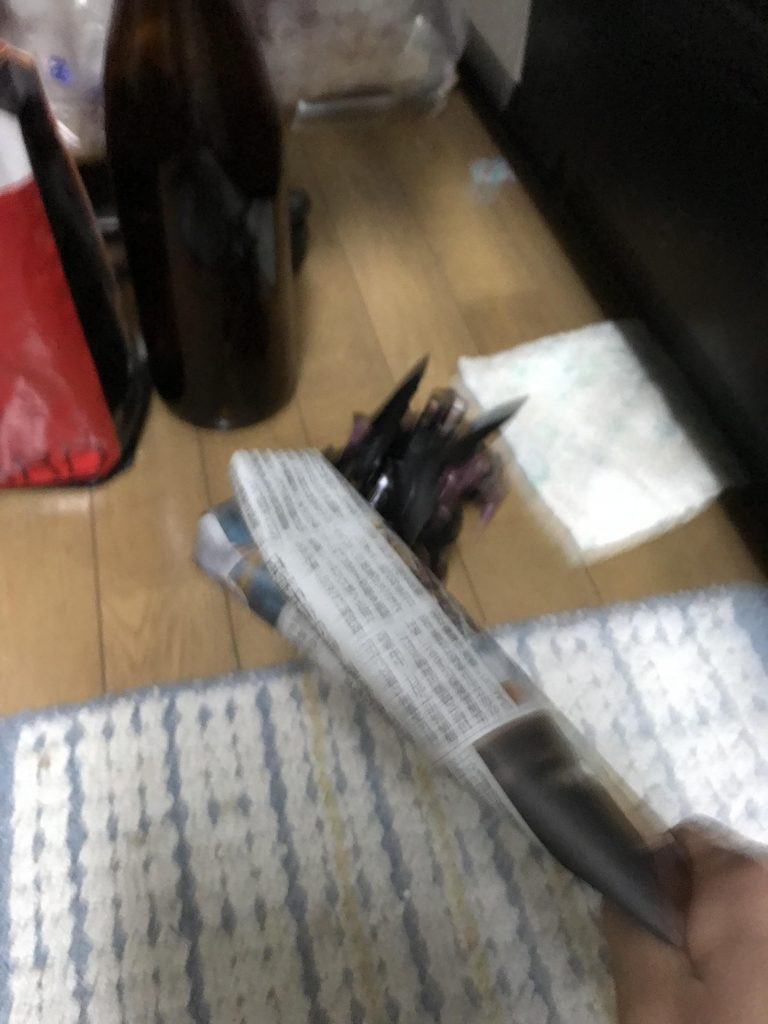 それが命とりだ、そこっ!!!